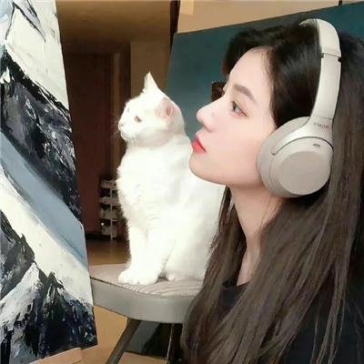 毛骗第一季