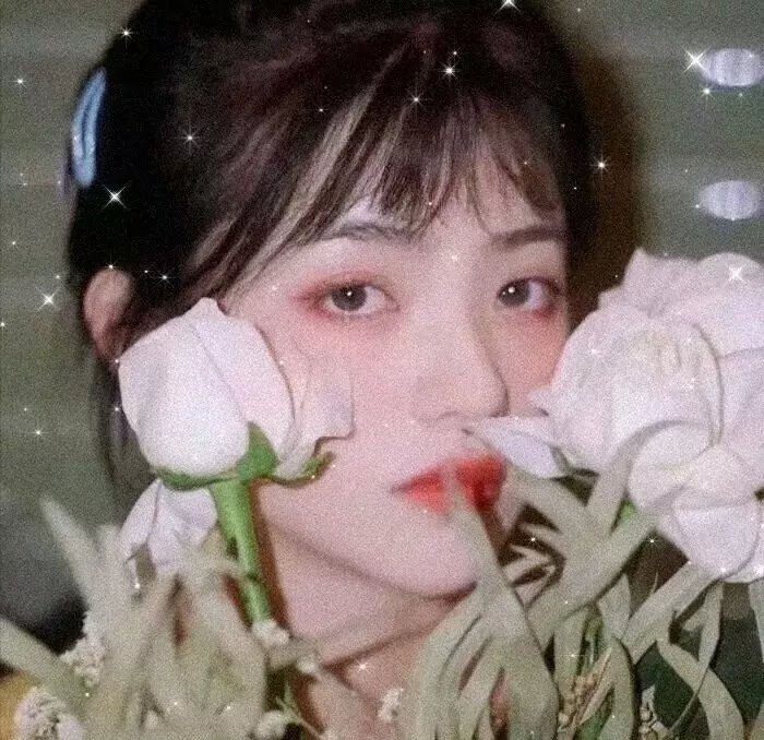 屌丝女士第二季